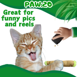 Lil' B the Blunt - Stuffed Parody Catnip Cat Toy - 5"