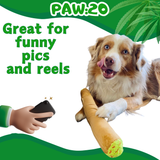 B the Blunt - Squeaky Parody Dog Toy - 10"